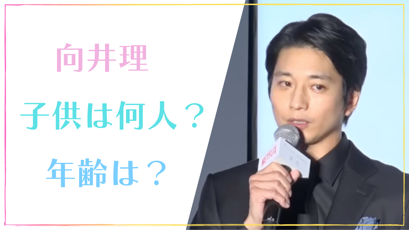 向井理